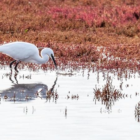 Heerenkeet 4 Pers Appartement Aan De Oosterschelde Kerkwerve Kültér fotó
